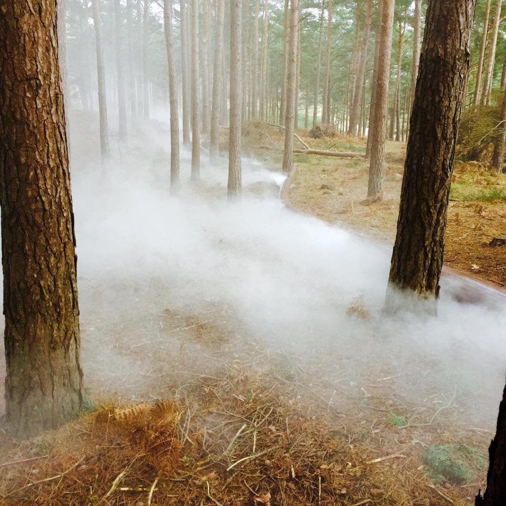 Wonder Woman Stunning Film Locations 7 bourne woods, farnham, surrey, england, uk