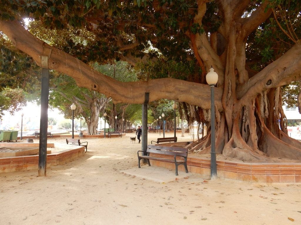 photographs Alicante, Spain