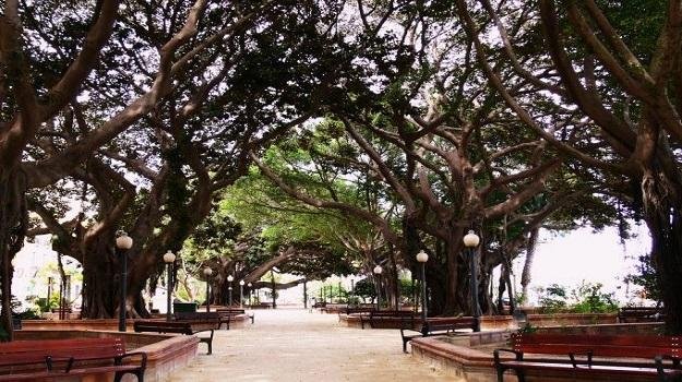 Discover Alicante 15 Canalejas park Discover Alicante