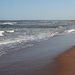 Balmedie Country Park