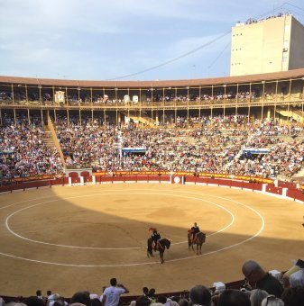 Plaza de Toros 8 Plaza de Toros y Museo Taurino de Alicante