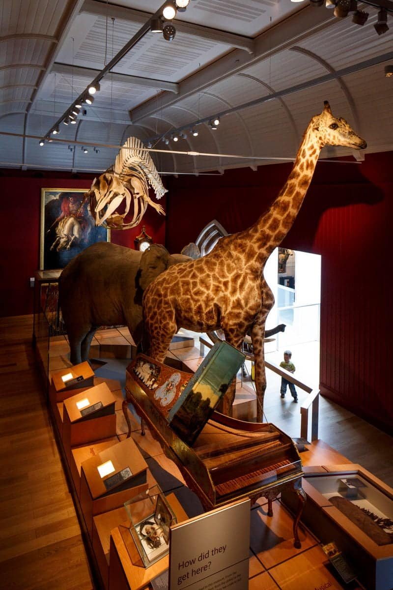 Royal Albert Memorial Museum