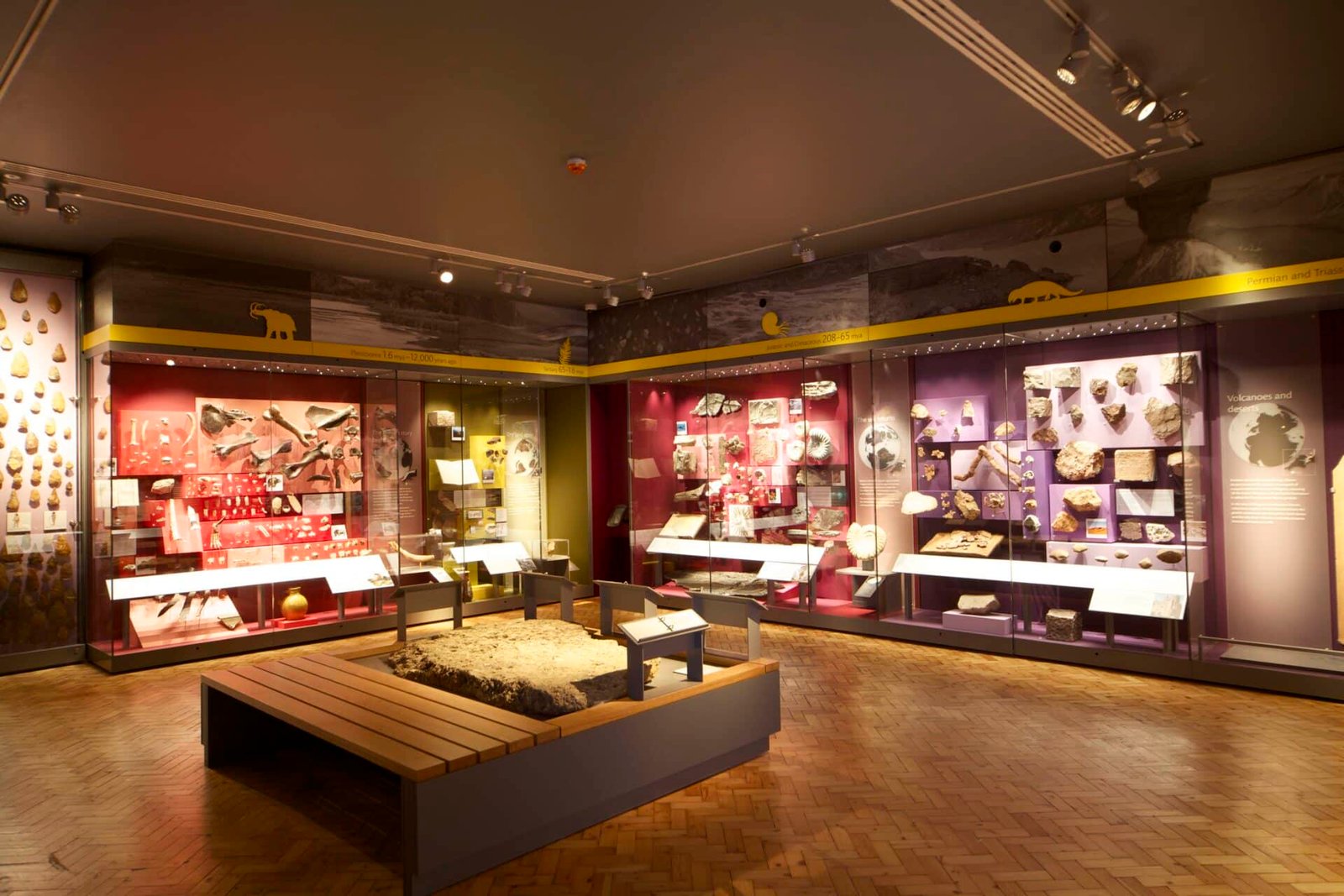 Royal Albert Memorial Museum 1 Royal Albert Memorial Museum