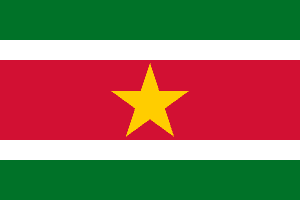 List of All Countries in South America 10 Flag of Suriname