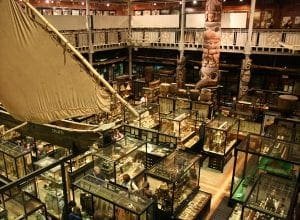 Pitt Rivers Museum