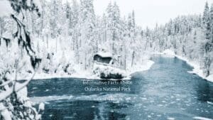 9 Informative Facts About Oulanka National Park