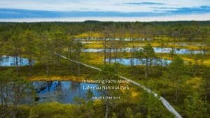 6 Interesting Facts About Lahemaa National Park