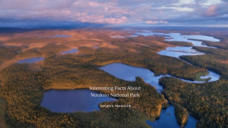 7 Interesting Facts About Nuuksio National Park
