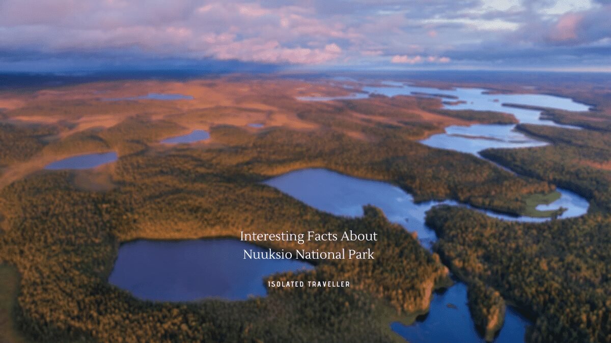 7 Interesting Facts About Nuuksio National Park