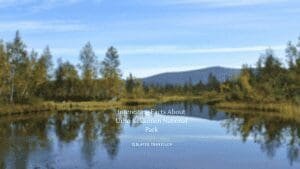 10 Interesting Facts About Urho Kekkonen National Park