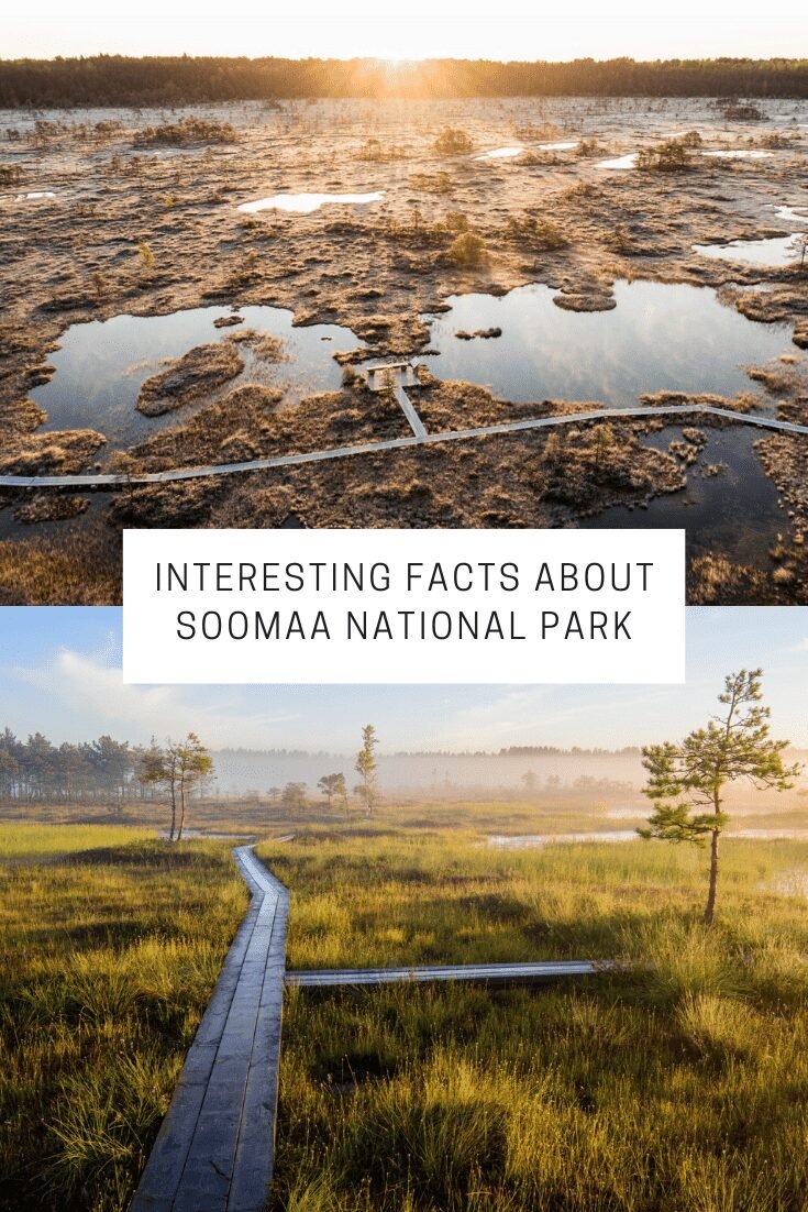 Interesting Facts About Soomaa National Park