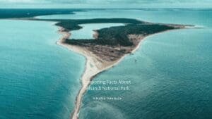 8 Interesting Facts About Vilsandi National Park