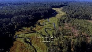 8 Dzūkija National Park Facts