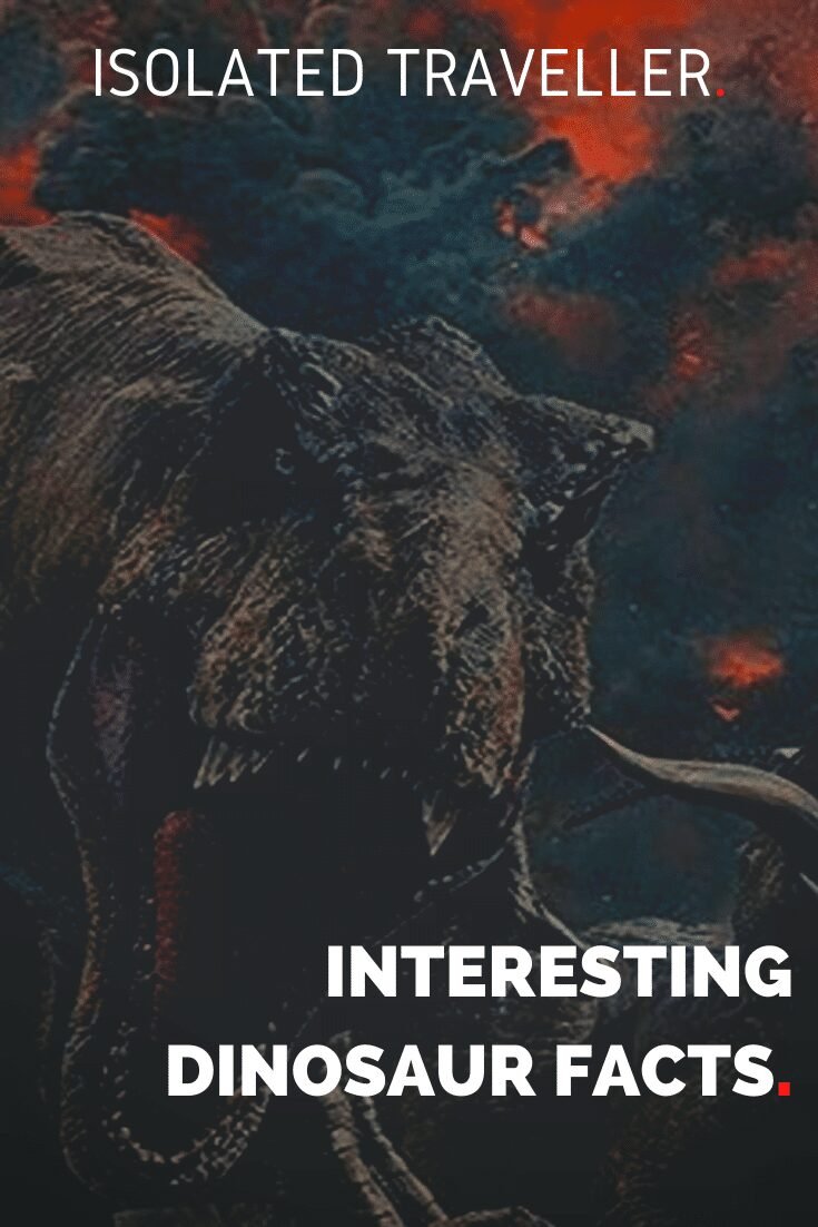 43 Interesting Dinosaur Facts 8 Interesting Dinosaur Facts