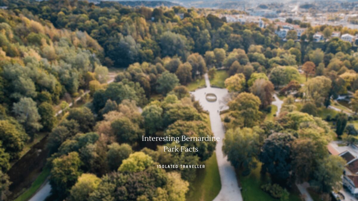 8 Interesting Bernardine Park Facts