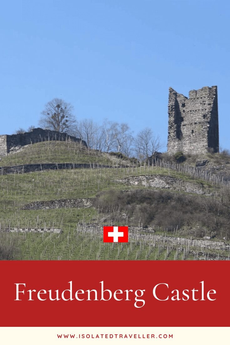 Freudenberg Castle 6 Freudenberg Castle