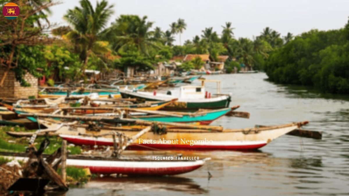 10 Interesting Facts About Negombo