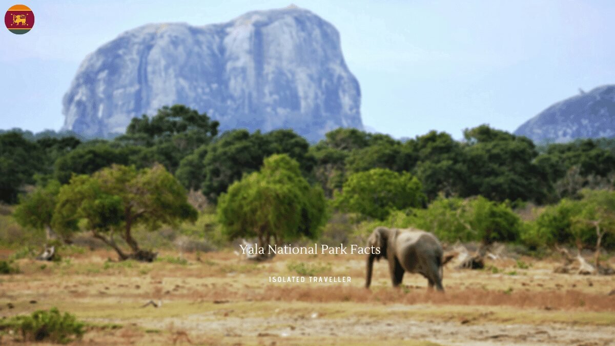 10 Interesting Yala National Park Facts