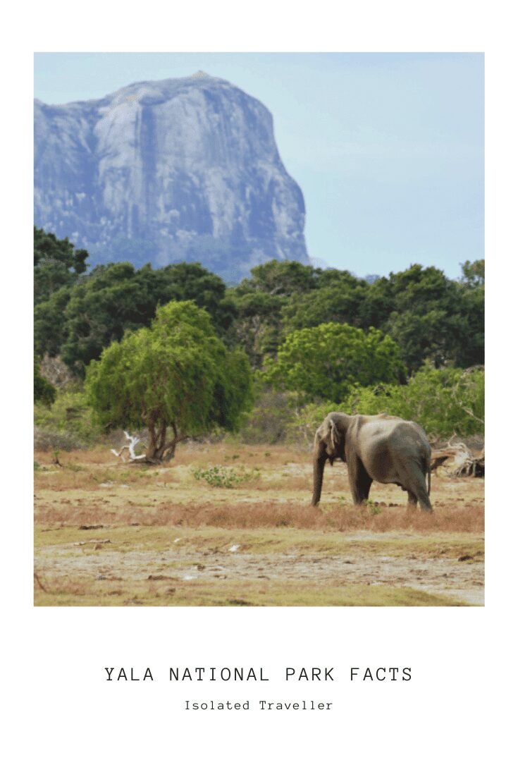 Yala National Park Facts