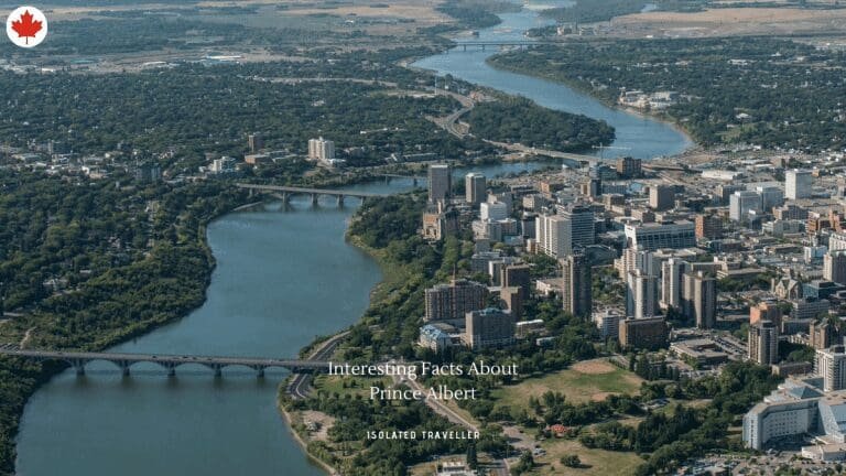 10 Interesting Facts About Prince Albert 15 10 Interesting Facts About Prince Albert