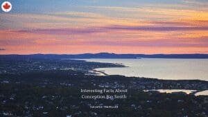 10 Interesting Facts About Conception Bay South