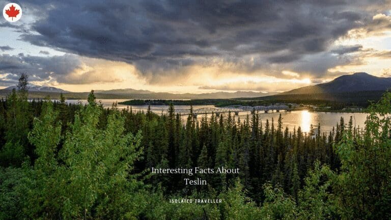 10 Interesting Facts About Teslin