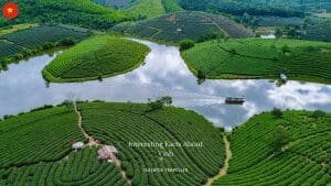 10 Interesting Facts About Vinh