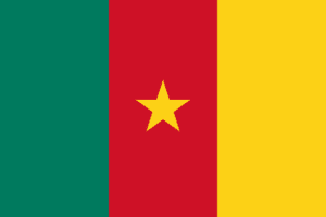 List of All Countries in Africa 13 Cameroon Flag