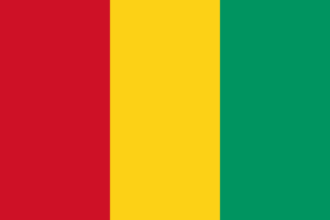 List of All Countries in Africa 28 Guinea Flag