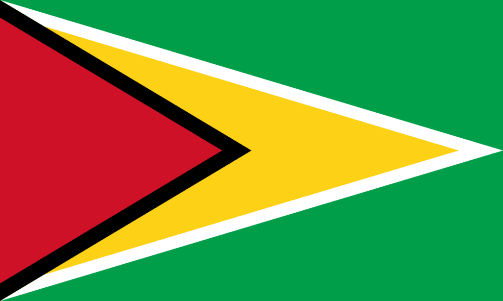 Flag of Guyana 6 Guyana Flag