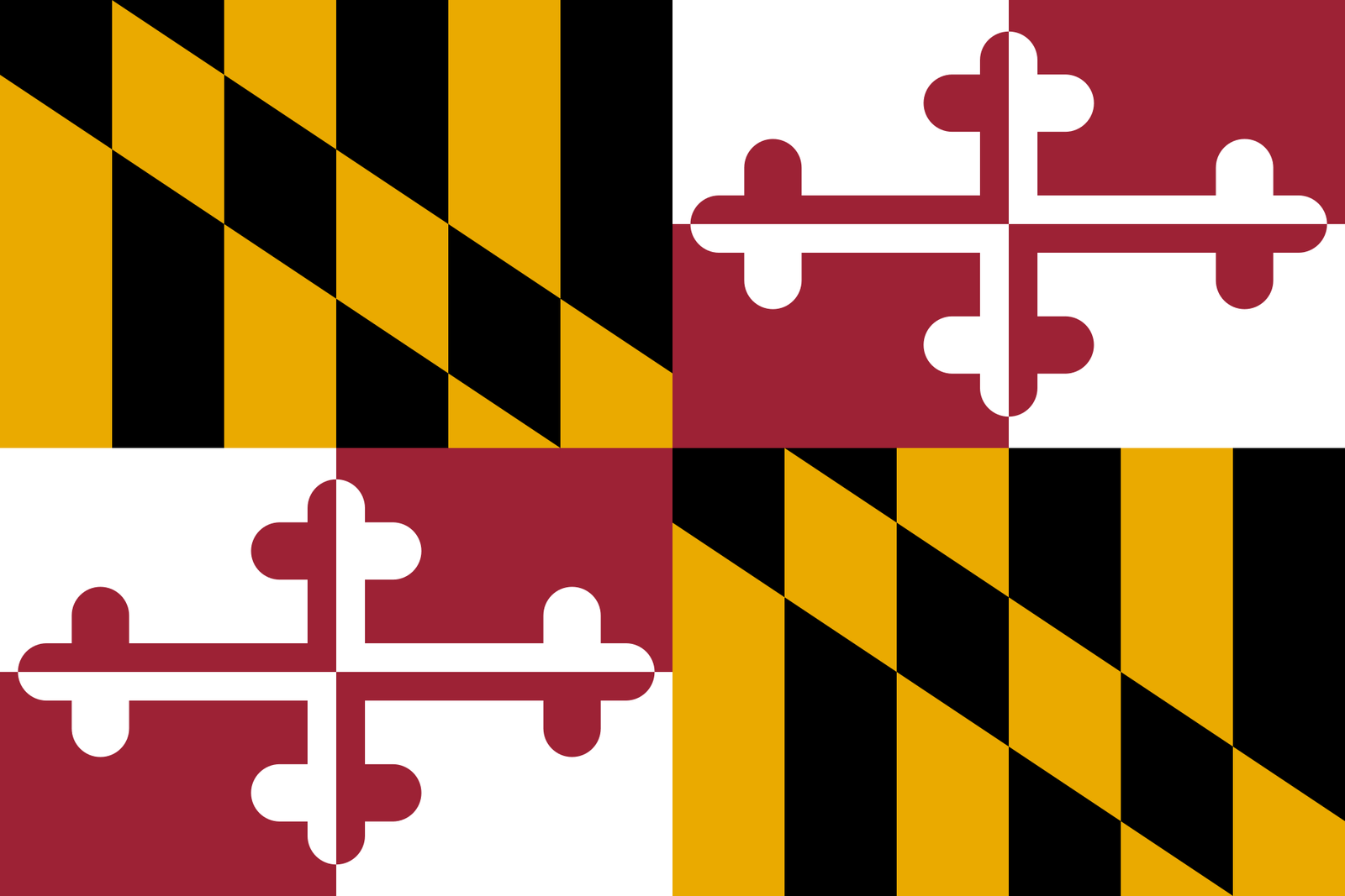 50 States of USA 25 Maryland Flag