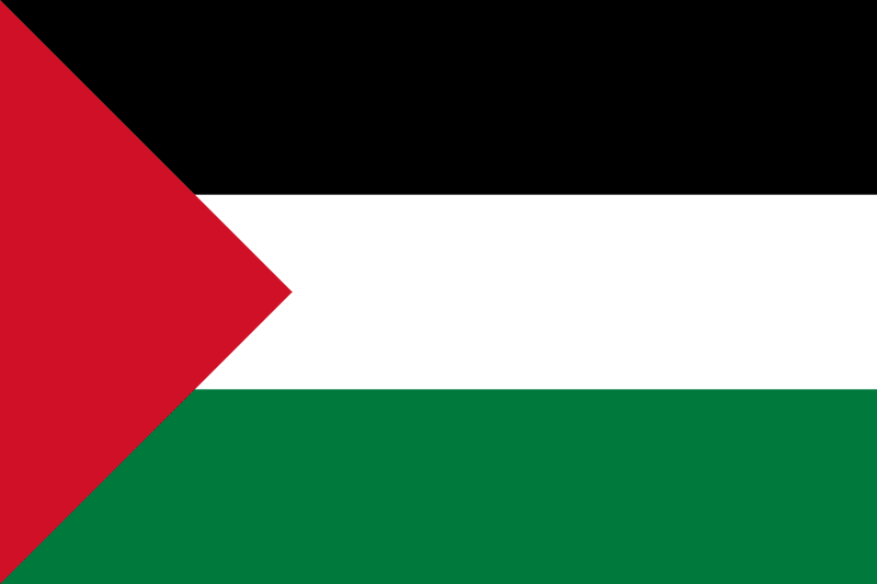 Flag of Arab League 20 Palestine Flag
