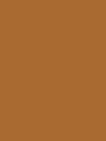 Flag of Arizona 10 Copper #a96a31