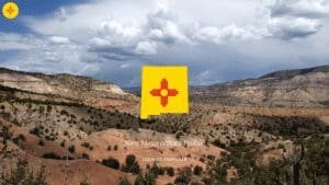 New Mexico State Profile
