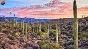 10 Interesting Facts About San Tan Valley