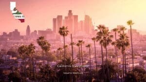 California State Profile