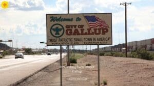 10 Interesting Facts About Gallup