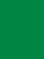 Flag of California 9 Green #008542