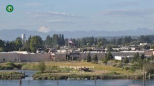 10 Interesting Facts About Marysville, Washington