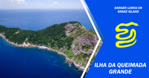 Which island has the most snakes?