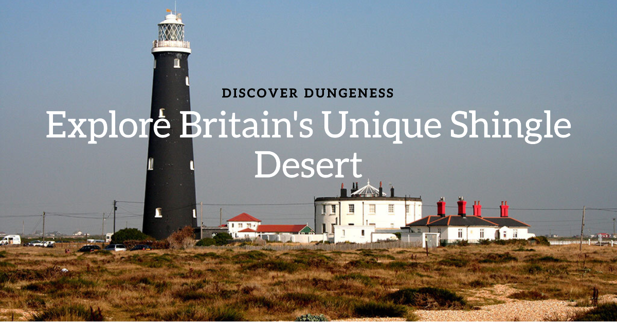 Discover Dungeness: Britain's Unique Shingle Desert and Nature Reserve 5 Discover Dungeness: Britain’s Unique Shingle Desert and Nature Reserve