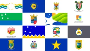 The Flags of the Regions of Chile