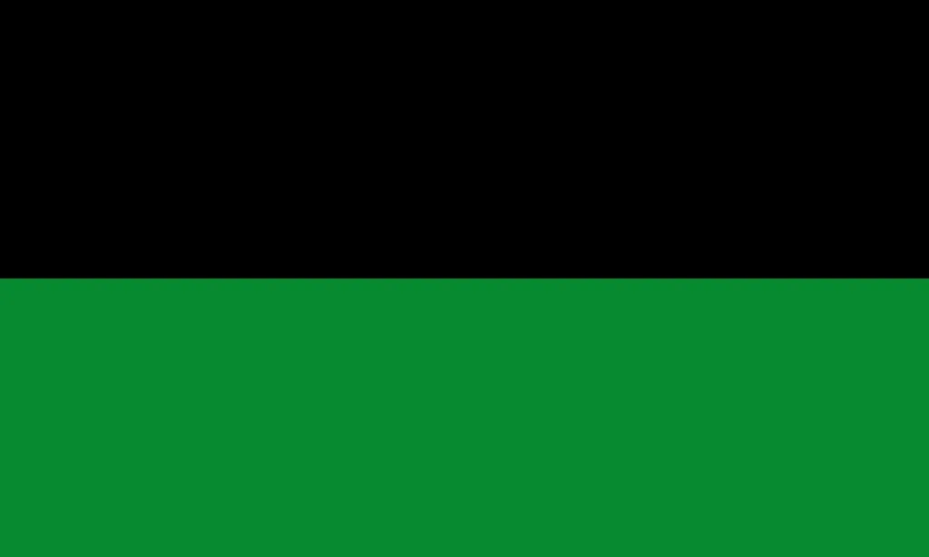 Flag of Mahaica-Berbice Region 6 Flag of Mahaica-Berbice