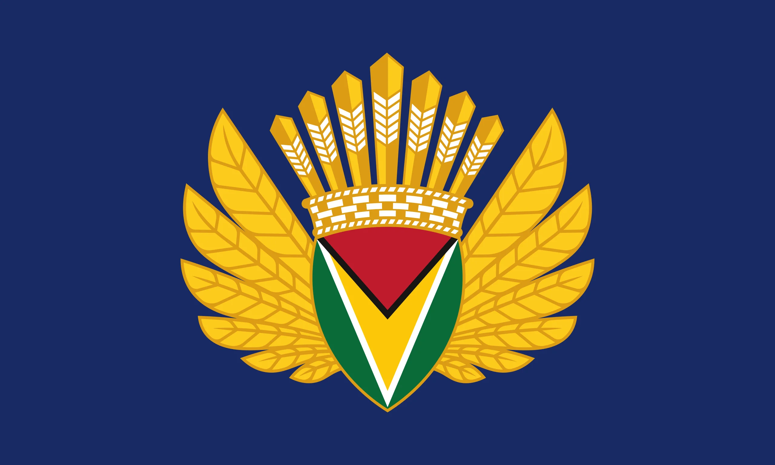 List of Guyanese flags 23 Presidential Standard of Irfaan Ali