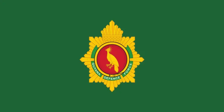 The Flag of the Guyana Defence Force